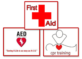 Adult & Pediatric First Aid/CPR/AED-BL IDAHO 4/13