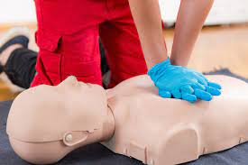 Adult & Pediatric First Aid, CPR/AED- Instructor Lead Training
